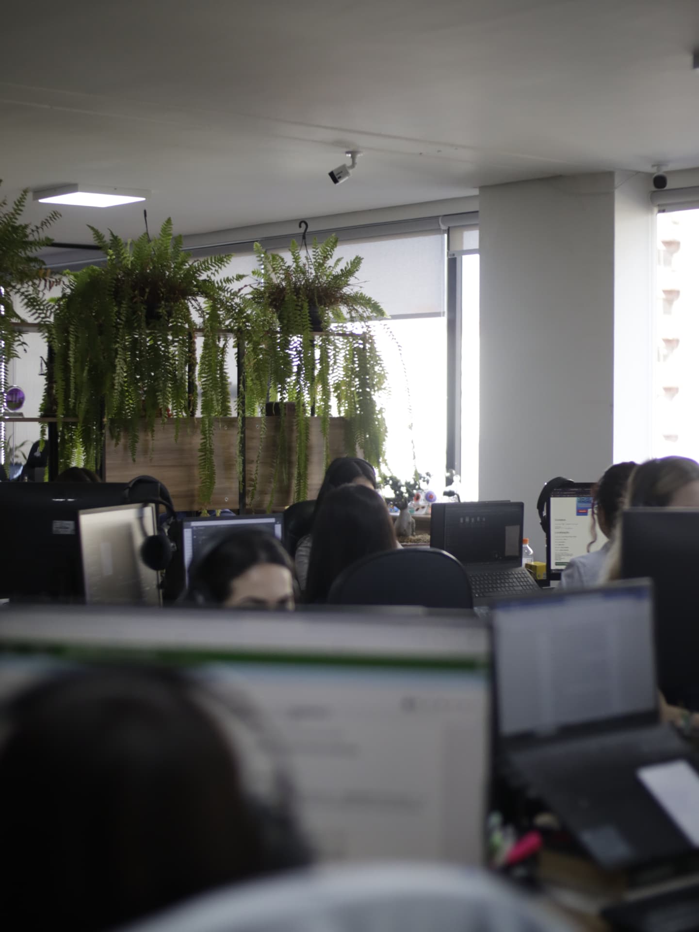 Ambiente interno do escritório com plantas e estações de trabalho